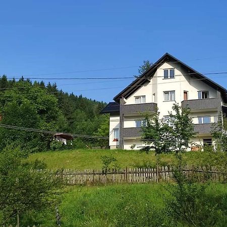 Casa Danci Centru Villa Borsa  Luaran gambar