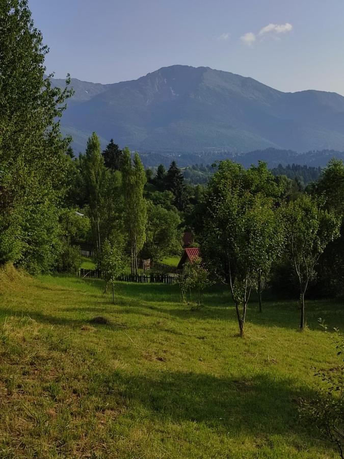 Casa Danci Centru Villa Borsa  Luaran gambar