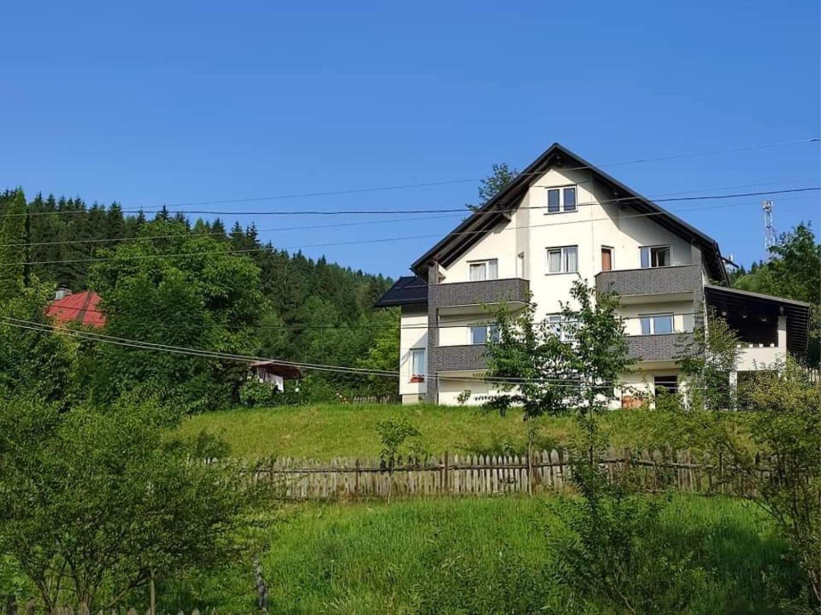 Casa Danci Centru Villa Borsa  Luaran gambar